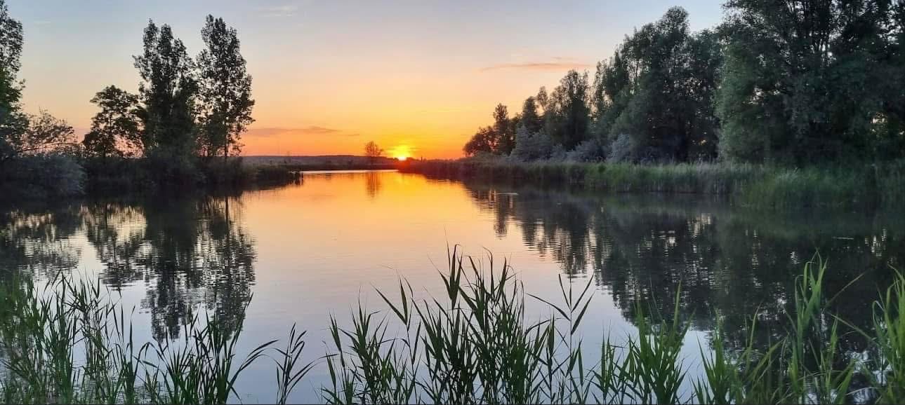 Kígyósi Csárda Étterem és Panzió — 6. fotó