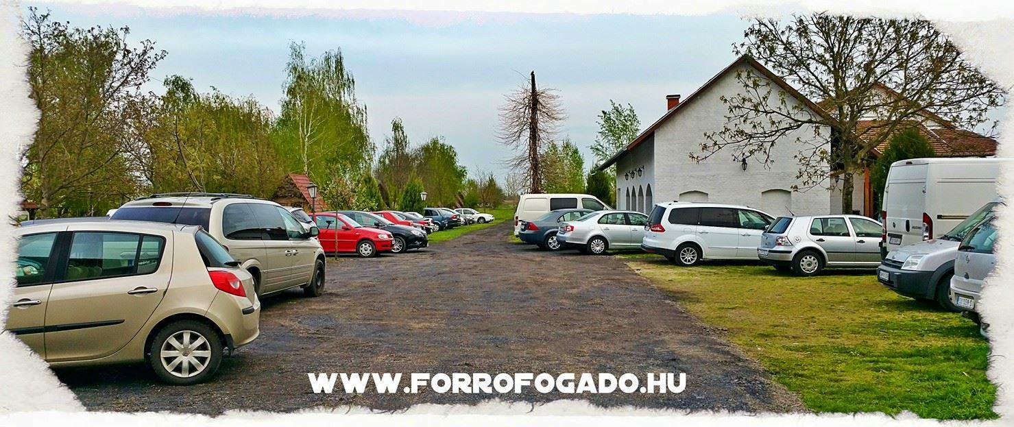 Bauer Resort — 7. fotó