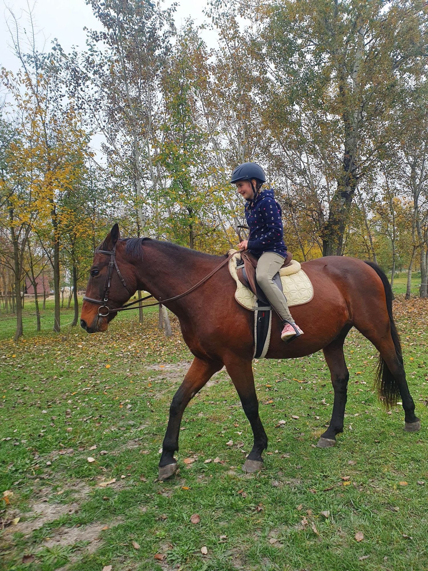 Bauer Resort — 25. fotó