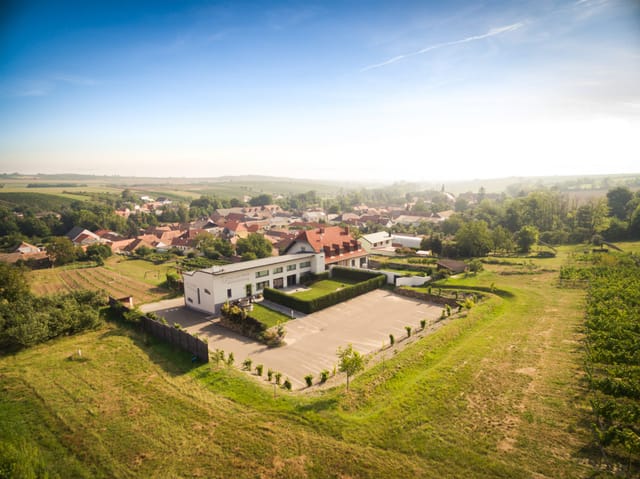 weinstimmig Dworzak