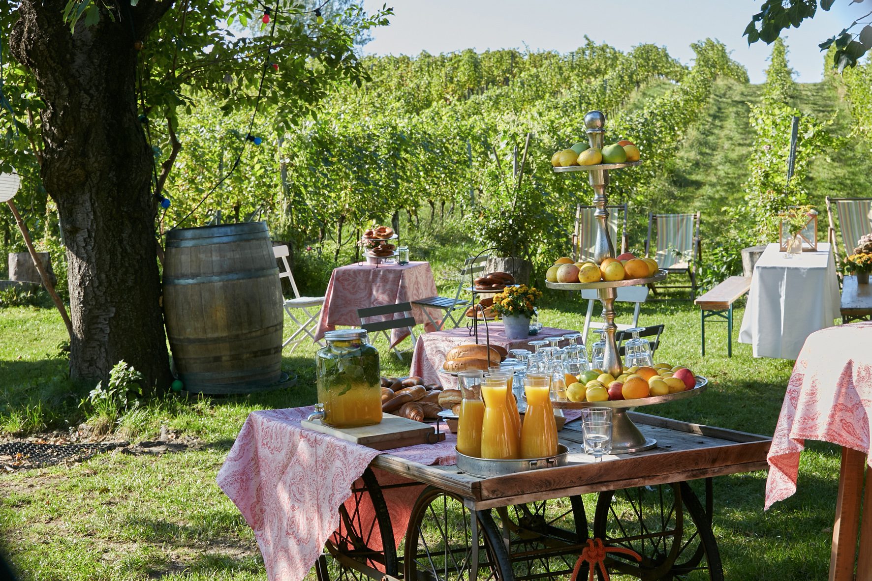 Bio-Weingut Weinhandwerk