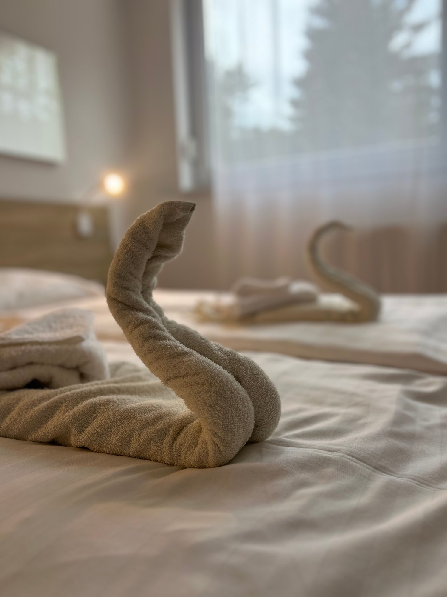 Öreg-Tó Hotel és Rendezvénytér — 5. fotó