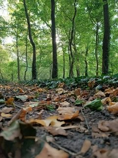 Szent András Kastély — 4. fotó