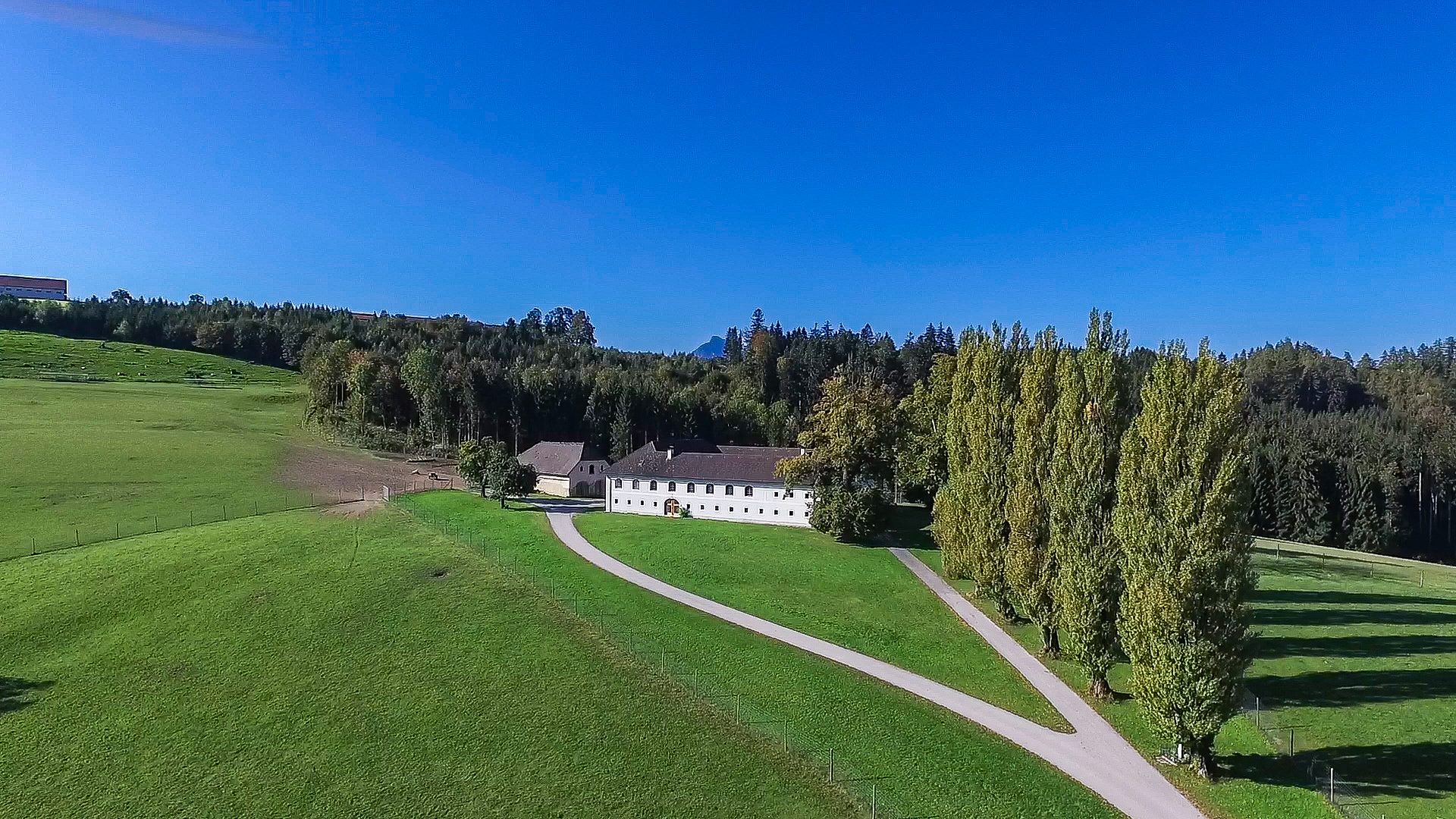 GUT GROSS HÖLLNBERG — Foto 6
