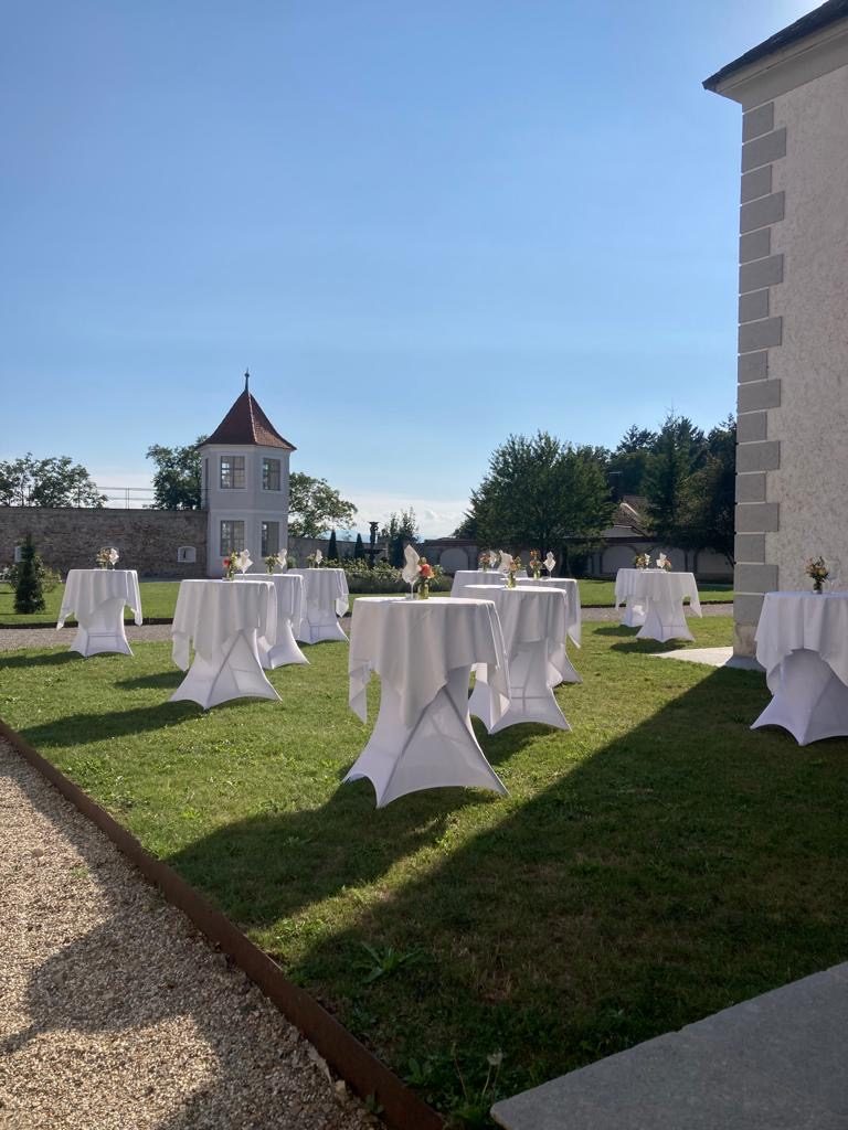 Schloss Viehofen — Foto 23