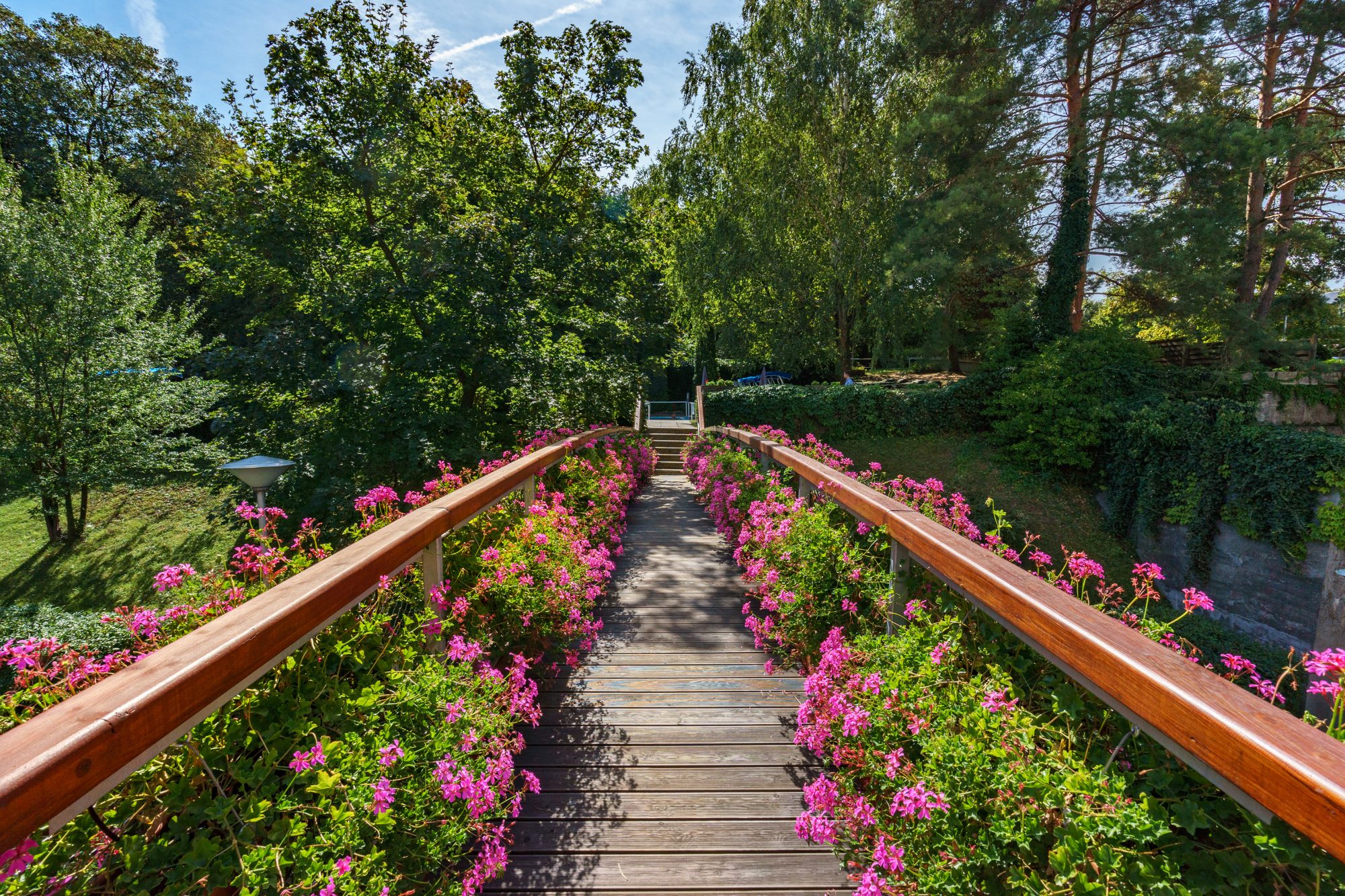 Ensana Thermal Hévíz Health Spa Hotel — 10. fotó