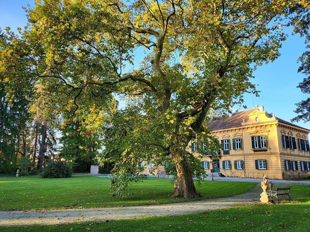 Palais Kneissl — Foto 2