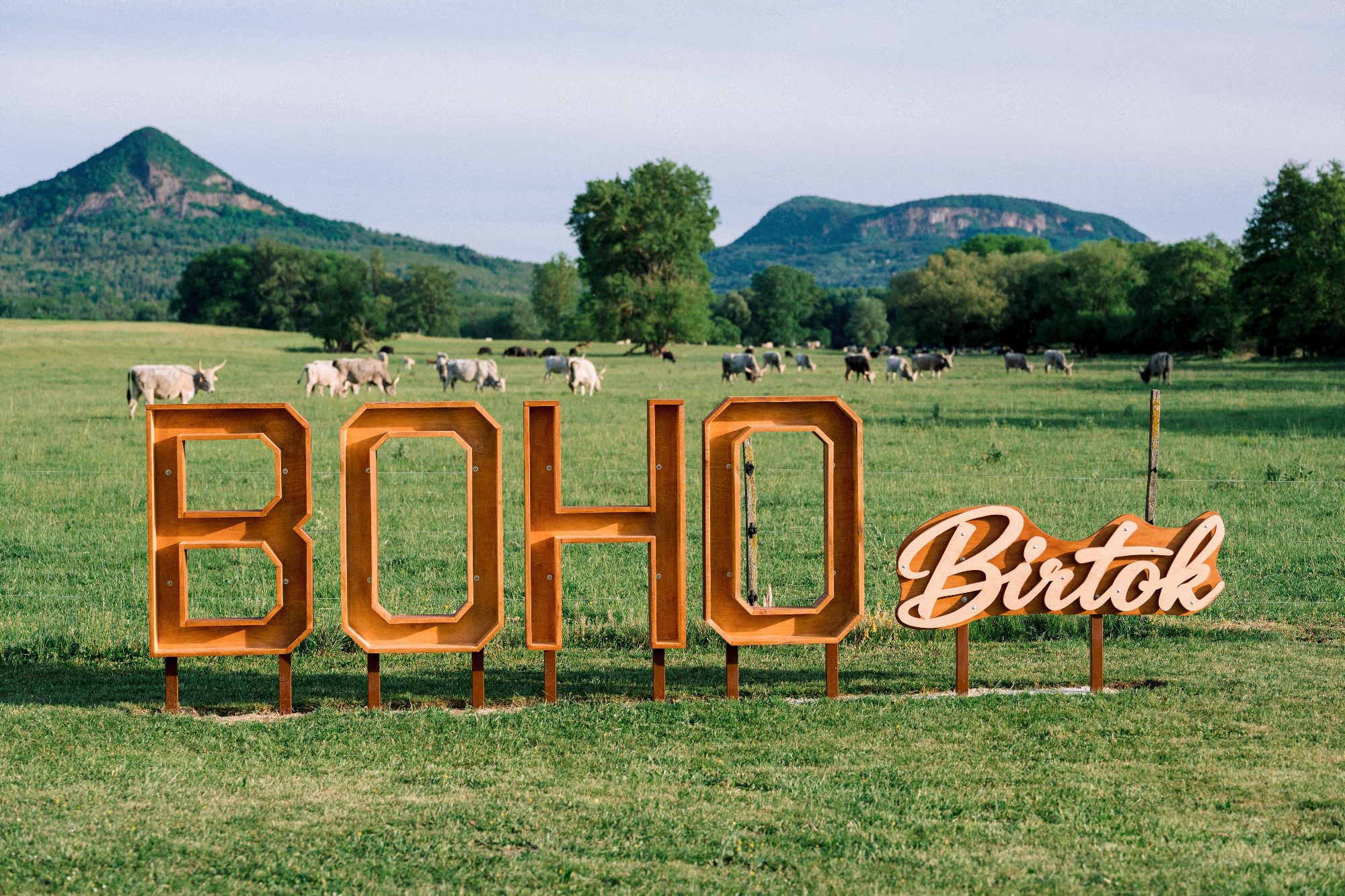 Boho Birtok — 4. fotó
