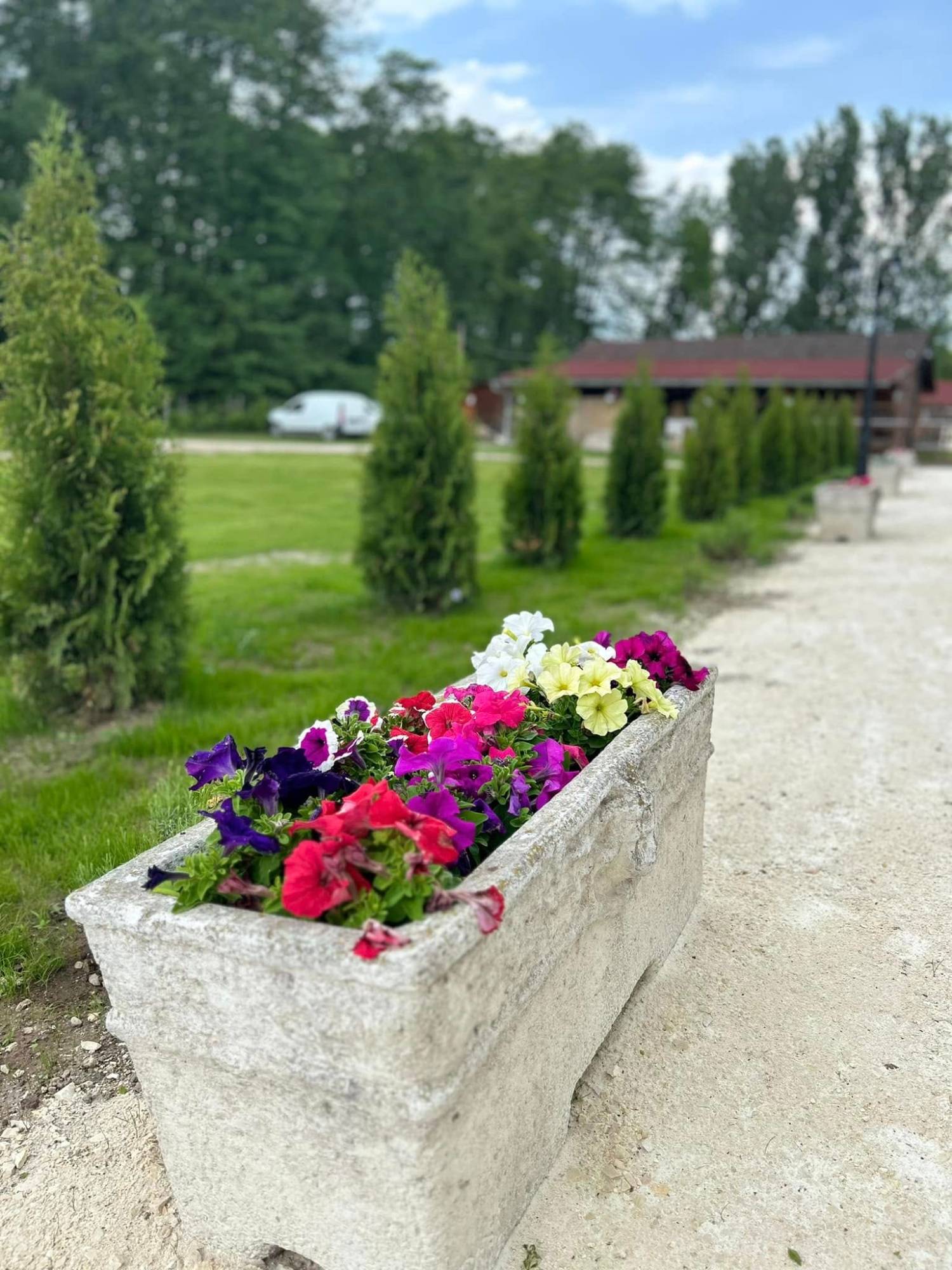 A Szellő — 2. fotó