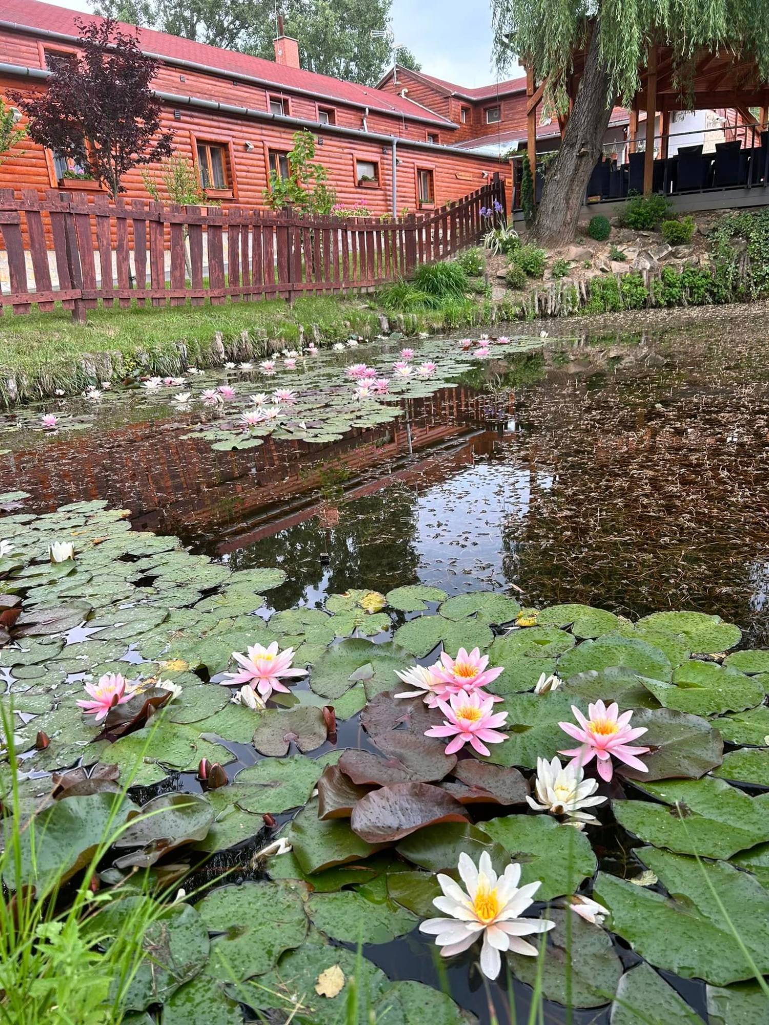 A Szellő — 3. fotó