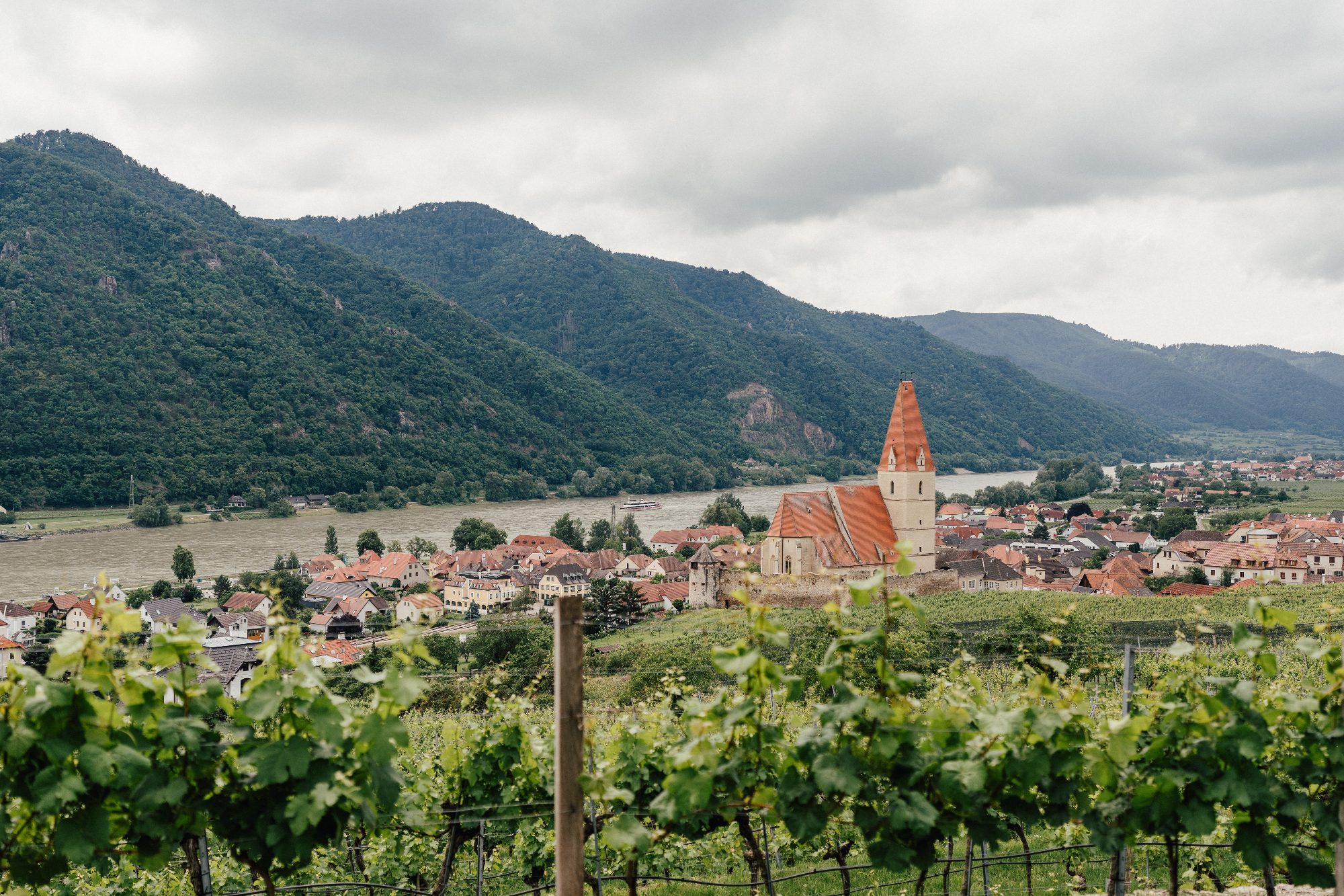 Heuriger Ferdl Denk — Foto 4