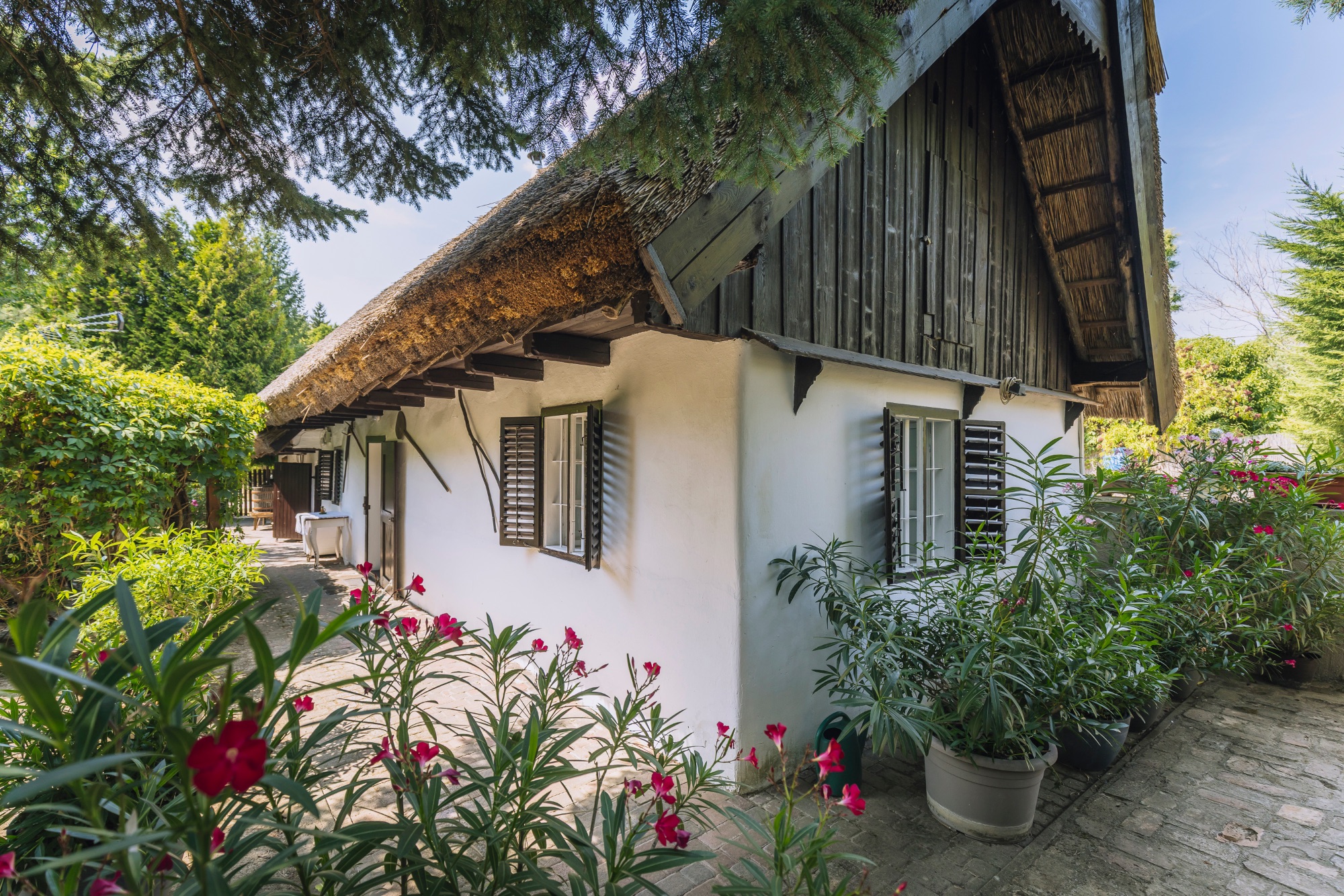 Paperdői Borudvar — 21. fotó