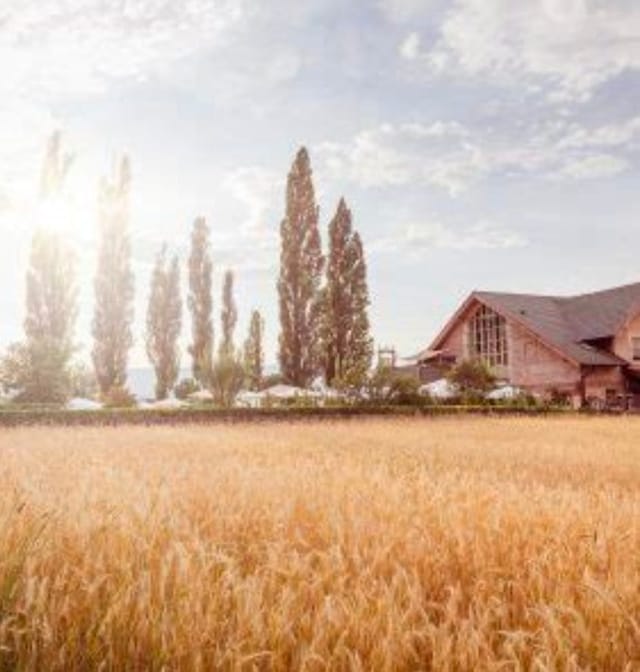 Wein&Gut - Weingut Rathbauer
